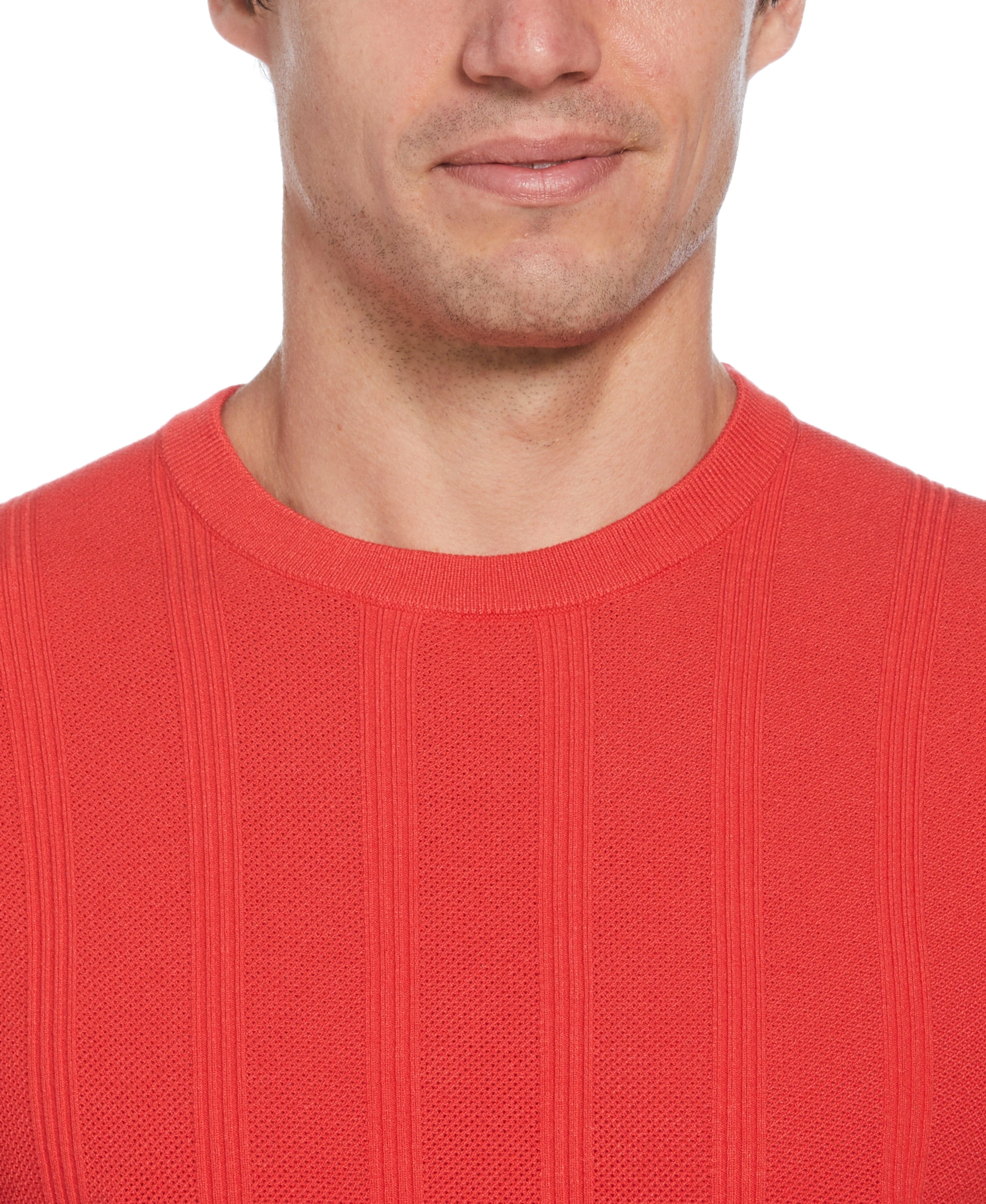 Tech Knit Striped Crew Neck Shirt - Image 3